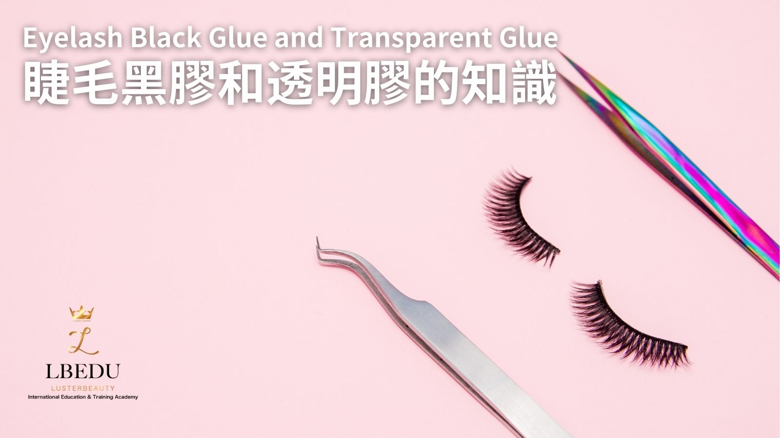 Eyelash Black Glue and Transparent Glue 睫毛黑睫與透明膠的知識